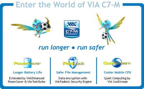 ʡΪVIAƷʼǱ20%
