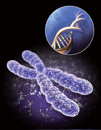 科技时代_美科学家成功破译乳腺癌肠癌全部基因密码