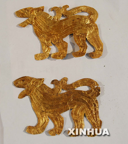 这是从甘肃张家川战国时期墓葬中出土的用于装饰随葬车的精美金虎(11月19日摄)。 日前,一个大型战国时期墓葬在甘肃张家川回族自治县境内被发现。在已发掘的三个墓坑中,已清理出10辆有精美漆绘和金、银等装饰的随葬车,这些随葬车之“豪华”,为国内以往考古中所罕见。在此次考古发掘中,还发现了大量的金、银、铜、陶等随葬器物及一批兽骨。