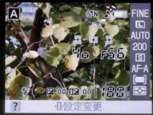 超详尽实物曝光尼康D40真机细节全展现(4)