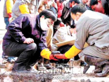 南京市博物馆确定发掘秦桧家族墓方案(图)