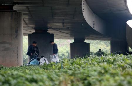 老伯围观命案现场遭联防队员追打(组图)