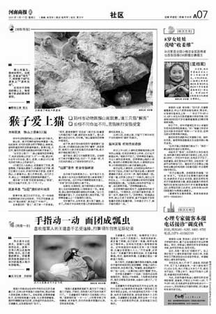 男子举牌抗议猴子虐猫纸牌被猴当场撕毁(图)