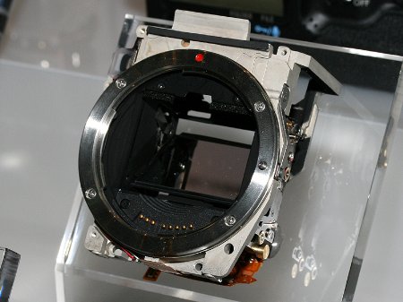 ˻䣡EOS-1D Mark IIIͼ