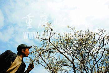 重庆痴情男子难忍丧妻之痛隐居岩洞两年(组图)
