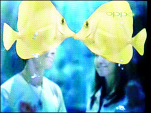 Ƽ2.4MP3Ƽ(2)