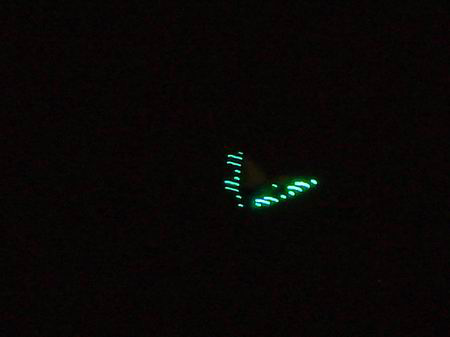 上海虹口杨浦夜空忽现“UFO” 两个呈V字形