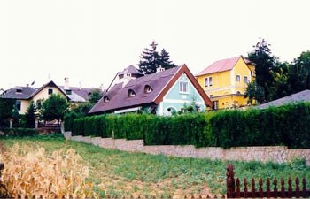 05.jpg