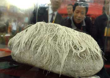 成都奇石博览会展出“白发”石 开价一千万(图)