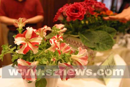 太空蔬菜水果神奇变异 黄花长出红色花瓣