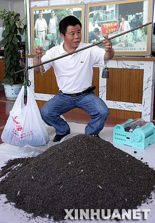 ͼģ10겶Ӭ1300ֻ
