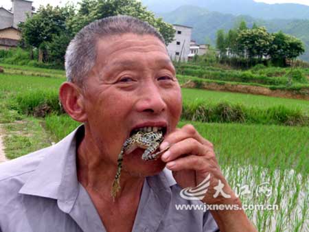 男子活吞蛙鼠40年 一天吞下20只老鼠(图)