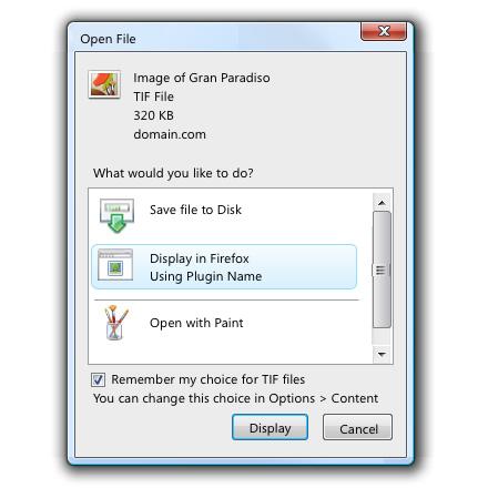 ʣFirefox 3¹ܡUIչʾ