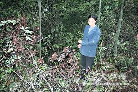 母亲掐死7岁女儿抛尸荒野(图)