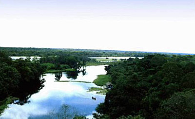 亚马孙河流向和注入