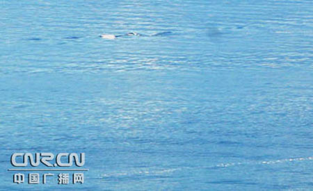 新疆赛里木湖现10米不明生物 水怪传闻已久