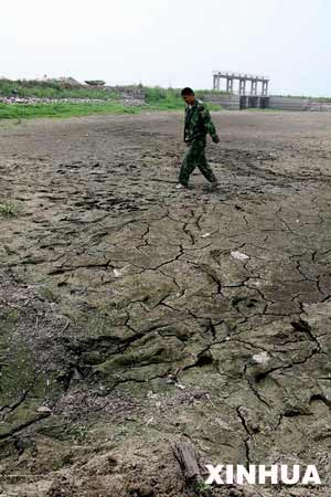 黑龙江历史罕见旱情背后的思考-干旱