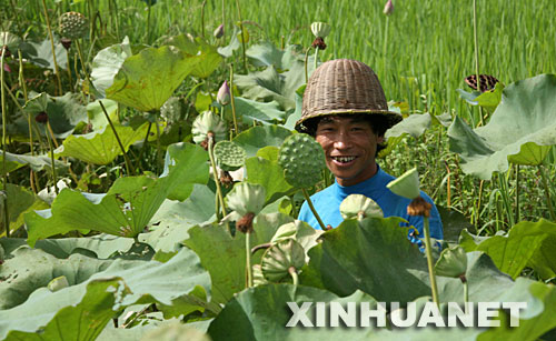 88գɽũںժ ɽС֮硱ֲǧĶ̫հ36šۺӯӯͦΣһɷվ »緢(Ȫ ) 