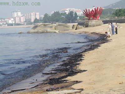 厦门海域出现两公里油污带(图)