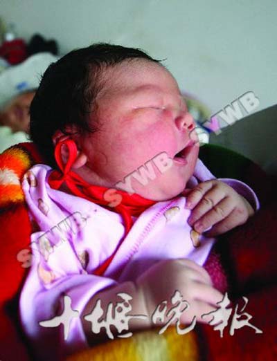 湖北十堰一名女婴降生时重12.4斤(组图)