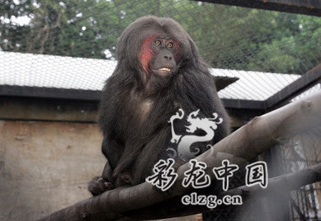 云南发现