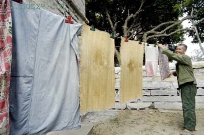 孝子为照顾病母58岁未娶 每天换洗10几次尿布