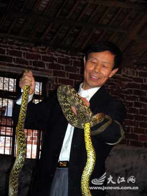 江西蛇王6次死里逃生 欲出版蛇类学专著(组图)