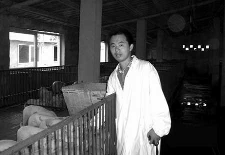 硕士不出国回家养猪 要建全国最大养猪基地(图)