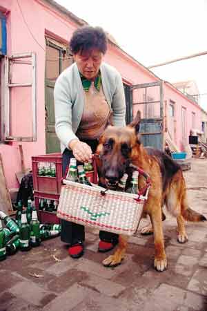 牧羊犬能独自叼筐买菜(图)