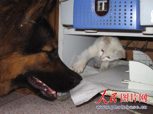 èԩͬͬ˯  ȨƷת