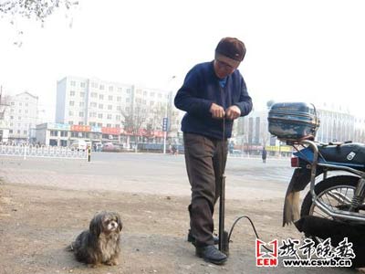 邻家有好狗 天天陪修车老人上班