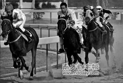 第8届全国民运会广州落幕 五匹赛马战死