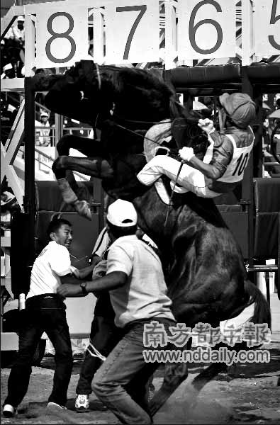 第8届全国民运会广州落幕 五匹赛马战死