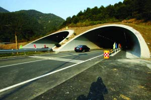 浙江首条生态公路在奉化建成(组图)