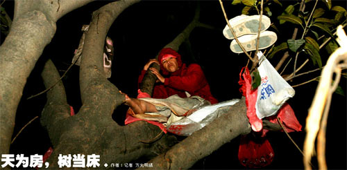 东莞虎门一女栖闹市树上半年,路人多不知(图)