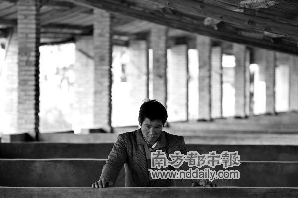 110头猪一夜被偷 养猪户夫妇疑被迷晕(图)