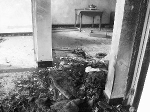 男子要钱不成点燃煤气欲烧死父母(图)