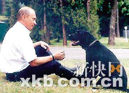 普京欲给爱犬配置GPS定位项圈(组图)