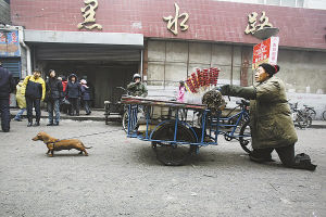 小狗拉截肢主人卖糖葫芦 故事将拍成记录片(图)