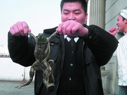 牛蛙生6条腿 疑为基因突变造成畸形