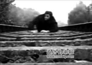网上惊现卧轨自拍视频