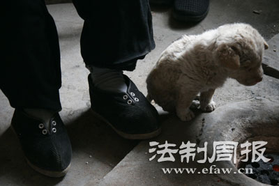 百岁小脚女人新年心愿:回娘家看看(组图)