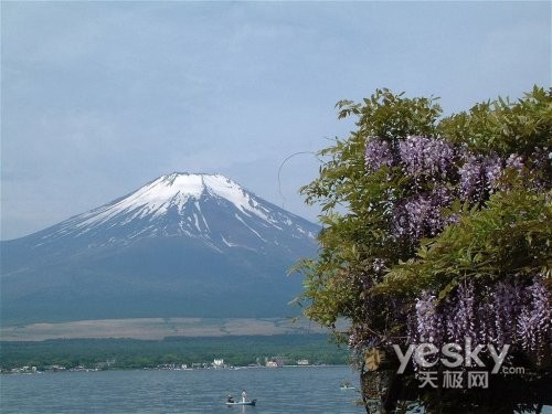 富士
