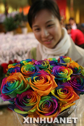 2月12日,一位女青年在观赏刚上市的七彩玫瑰。