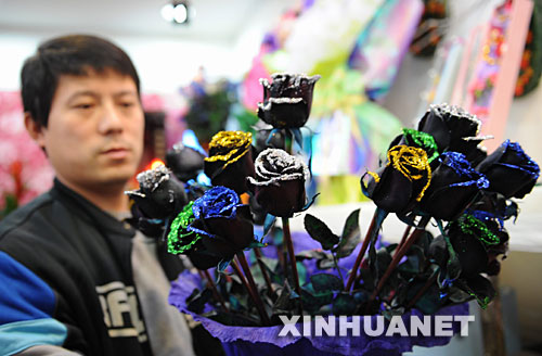 2月13日,哈尔滨一家花店的老板在展示黑玫瑰。情人节将至,各式各样的玫瑰花让人们应接不暇,给这个情人节营造出浓浓的浪漫气氛。