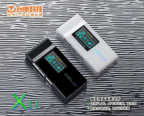 2GB容量兼容双无损 台电新款X11 199元 2GB容量兼容双无损 台电新款X11 199元