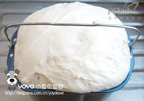 轻松DIY全麦主食大吐司 轻松DIY全麦主食大吐司