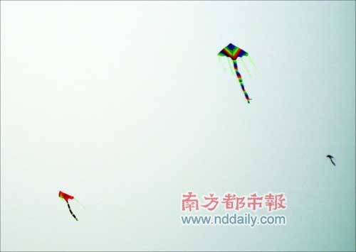 羊城昨天迎来今年最高气温,有市民祭祖时中暑晕倒