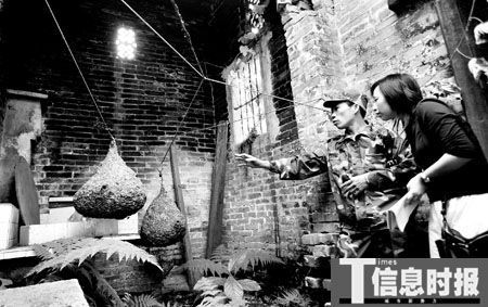 男子祖屋内养万只毒蜂 每年上山寻马蜂窝(图)