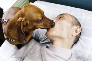 男子路边发脑溢血 爱犬不让120靠近(图)